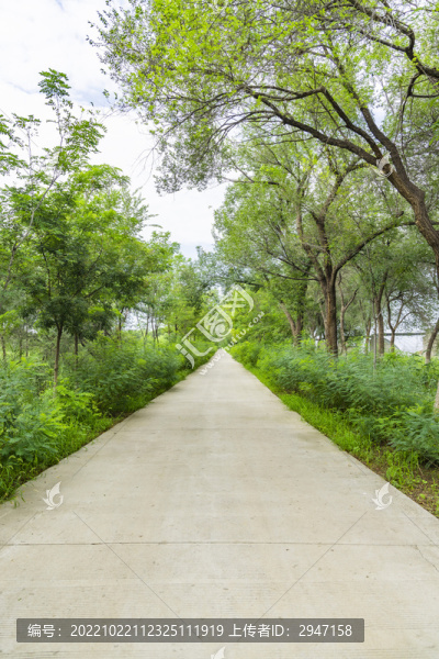 天津西青郊野公園自然風(fēng)光