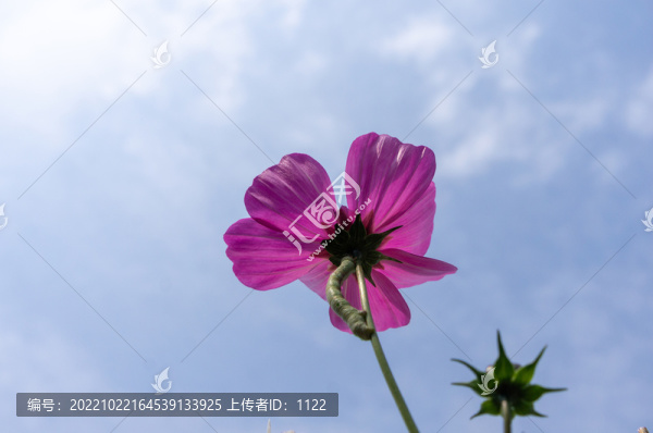 格?；? title=