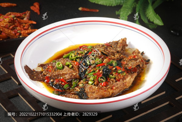 臭桂魚