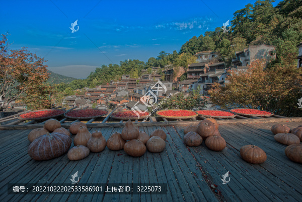 篁嶺曬秋