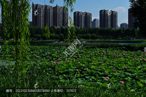 南溪濕地公園