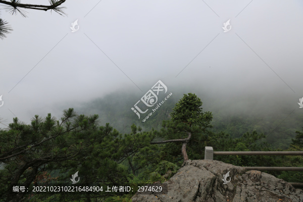云霧山林