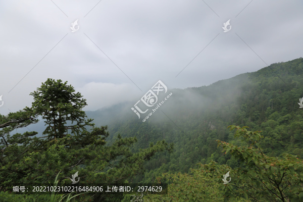 云霧山林