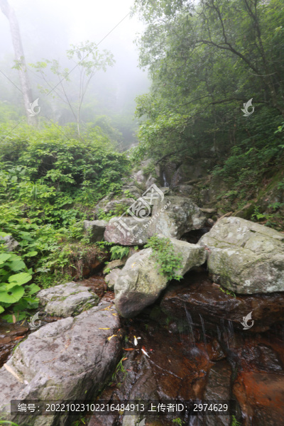 天目山溪流石頭
