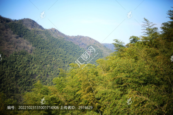 山林