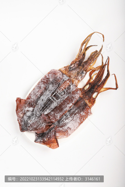 干魷魚