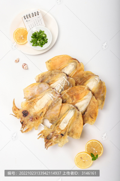 墨魚
