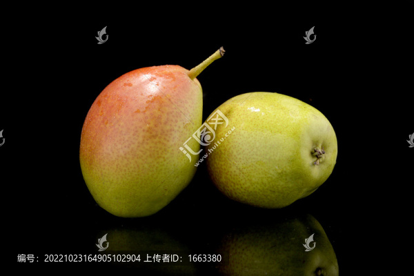 小鴨梨