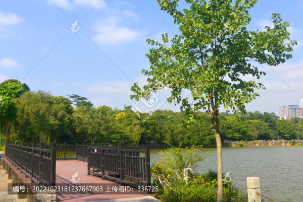 廣東深圳筆架山公園雙硯湖