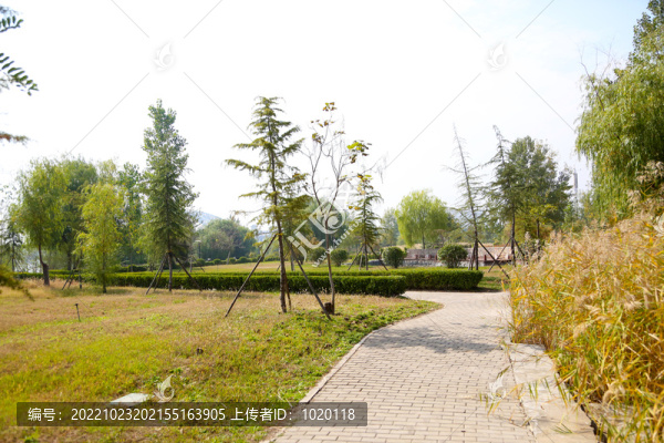 景觀步道