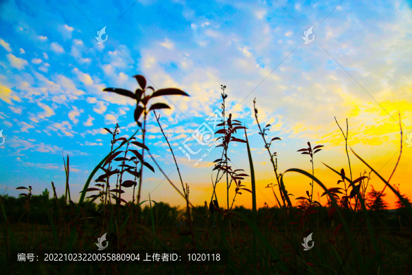 彩色的天空