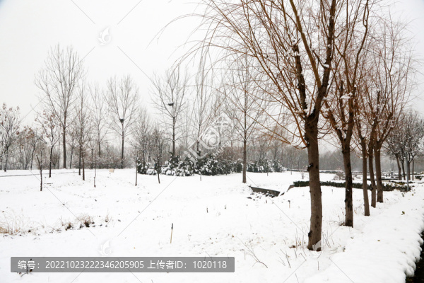 園林雪景