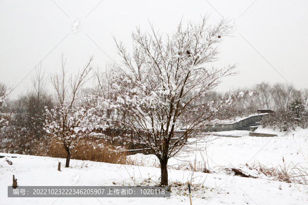園林雪景