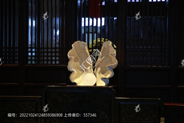 貝殼