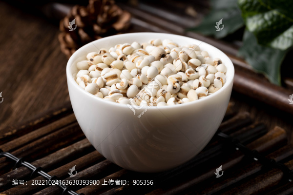 薏米仁