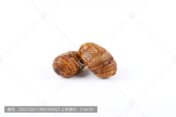小芋頭