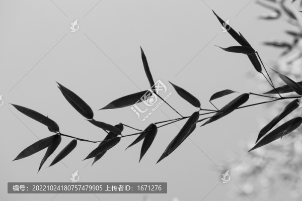 水墨竹葉