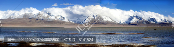 多情措