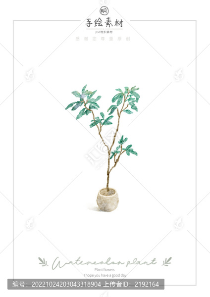 小清新手繪水彩垂枝榕盆栽