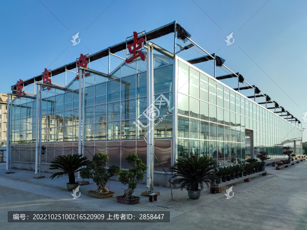 花鳥魚蟲市場