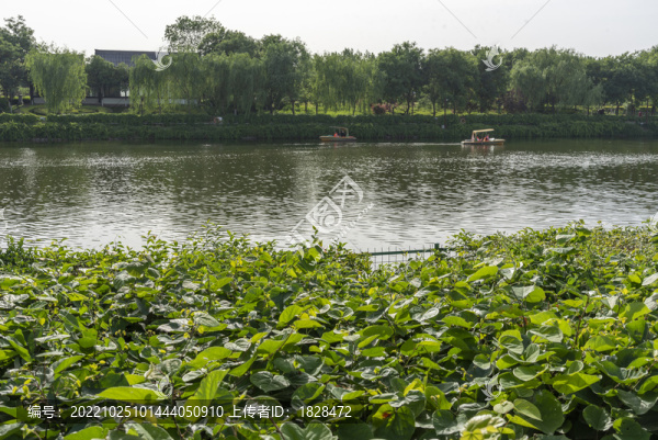 西安漢城湖遺址公園