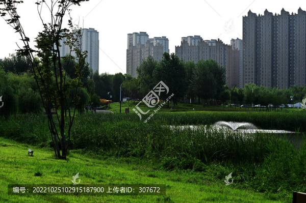 南溪濕地公園