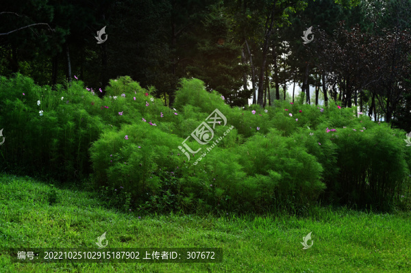 南溪濕地公園