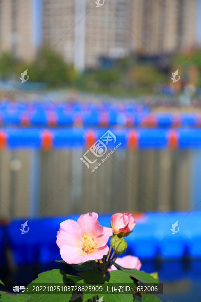 武漢張之洞體育公園