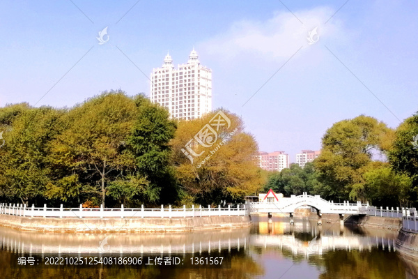 秋景