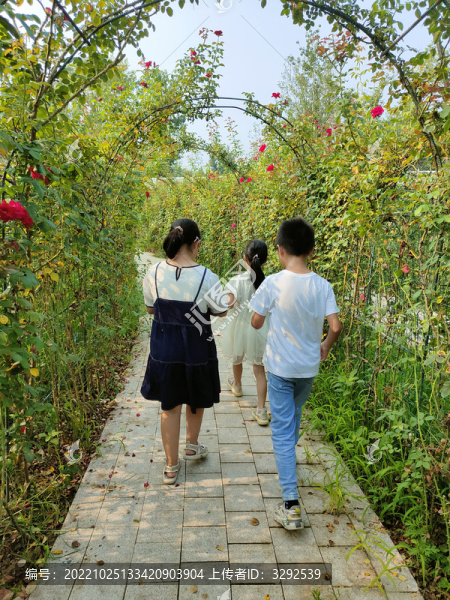 花溪谷樹橋公園迷宮走路背影