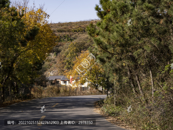 山村秋色