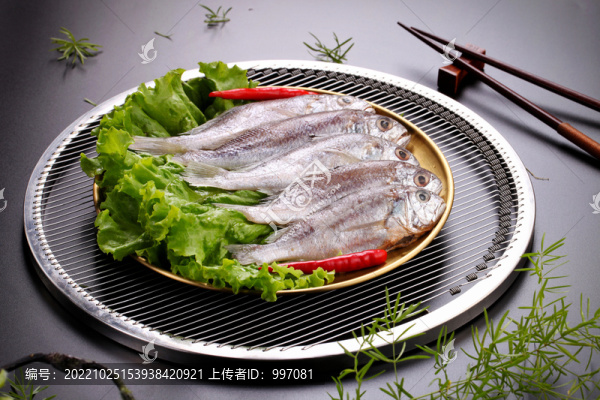 黃花魚