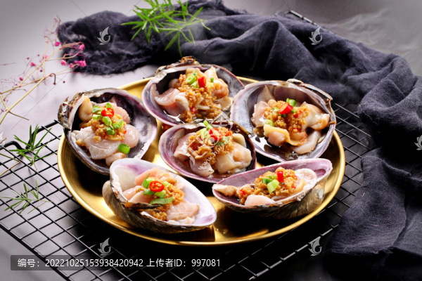 天鵝蛋