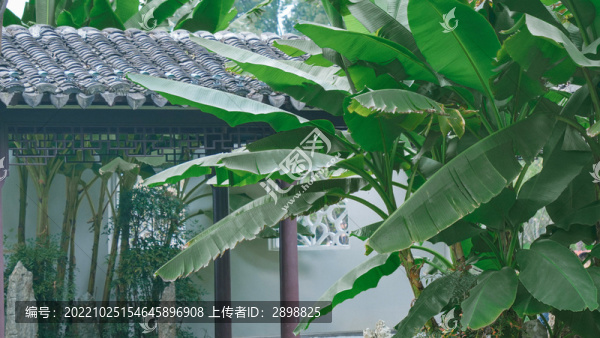 寧波天一閣月湖景區(qū)秋景