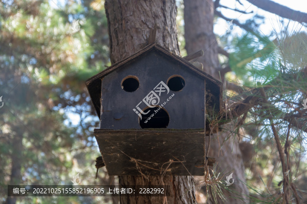 鳥箱