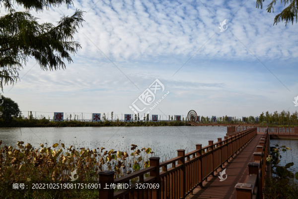 安徽省蕪湖市灣沚區(qū)百鳥灘