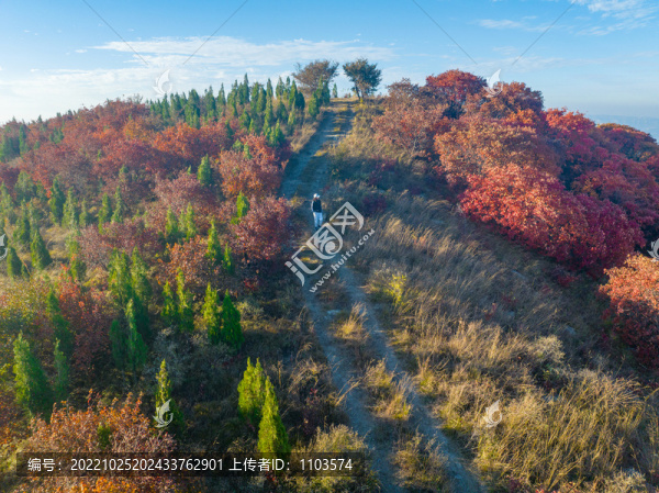 航拍濟(jì)南丁子寨紅葉