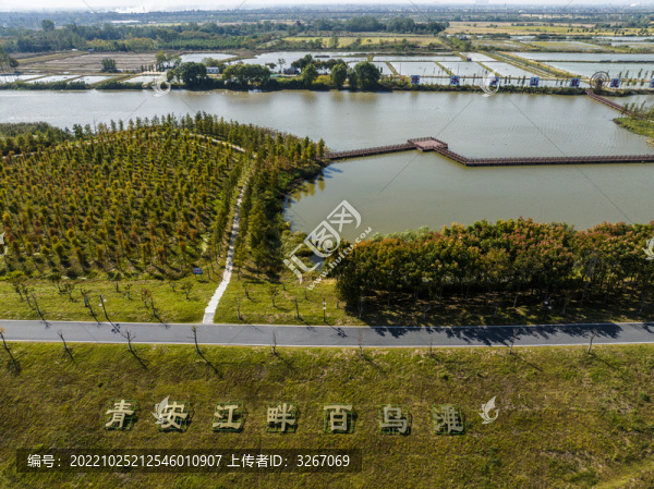 航拍蕪湖市百鳥(niǎo)灘濕地公園