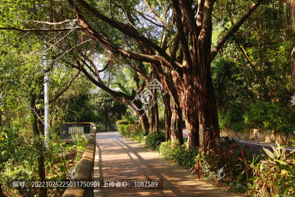 福州金雞山公園