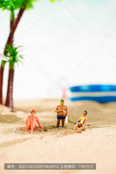海洋海灘砂石貝殼
