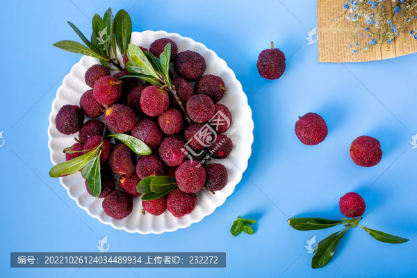 楊梅