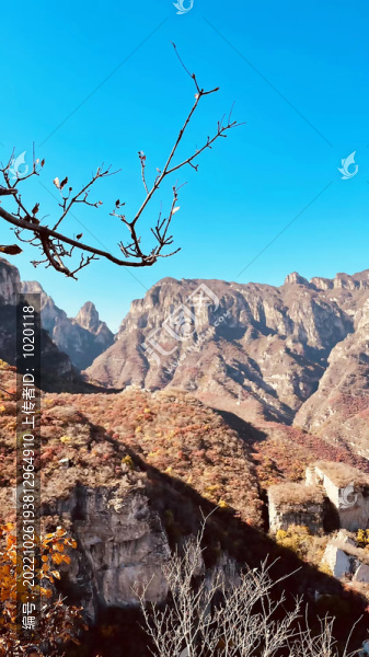 山頂風(fēng)光