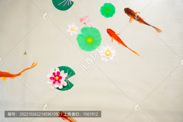 小金魚