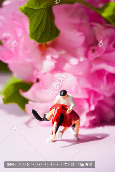 櫻花微距人