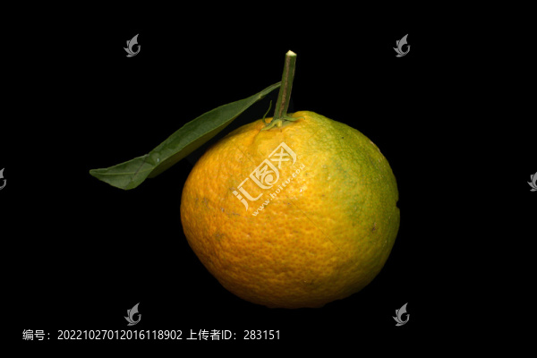 桔子