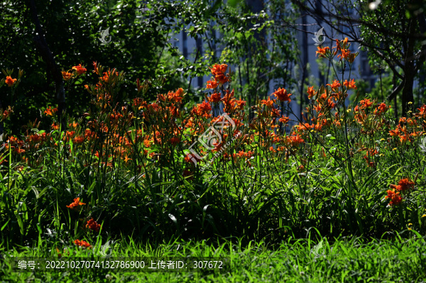 南溪濕地公園