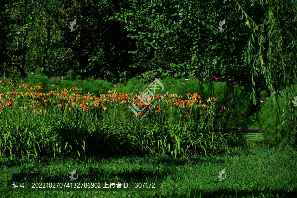 南溪濕地公園