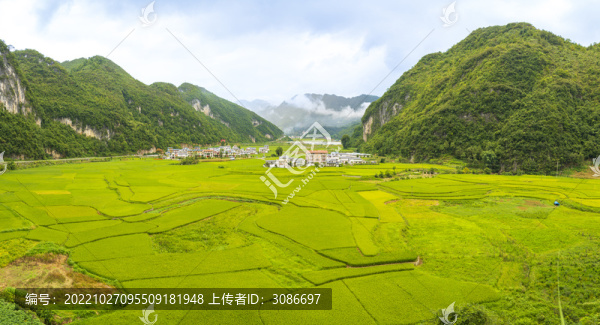 百色樂業(yè)田園