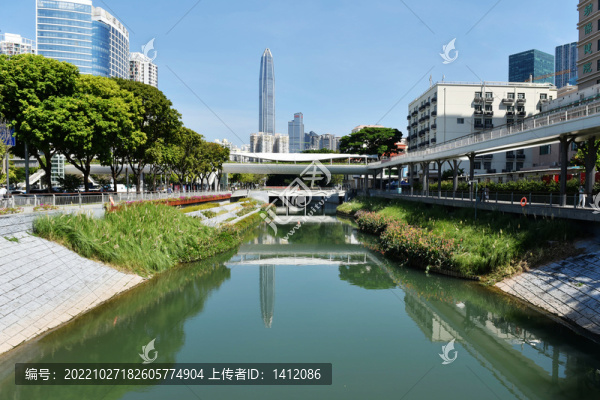 深圳新洲河紅樹碧道