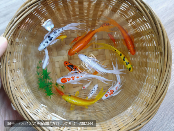 竹筐錦鯉五彩魚群魚缸